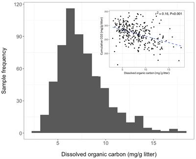 Soil Bacterial and Fungal Richness Forecast Patterns of Early Pine Litter Decomposition